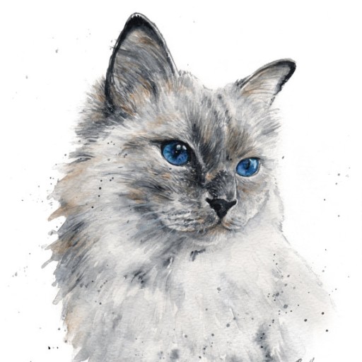 Camille 